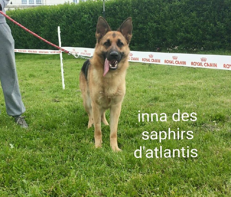 Inna des saphirs d'atlantis